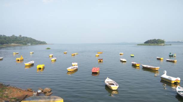 boats forming a beautiful scene in the upper lake, Bhopal