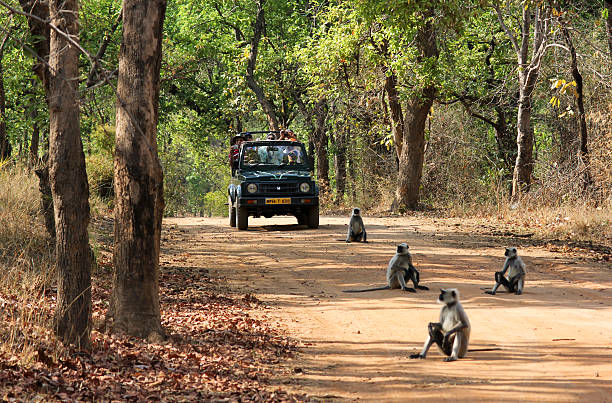 bandhavgarh (5)